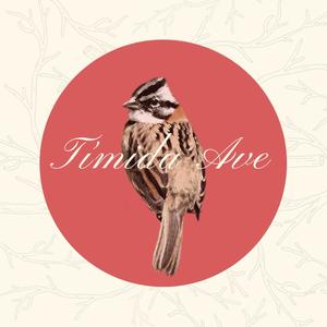 Tímida Ave de Francisco Vega(feat. Francisco Vega)