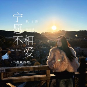 宁愿不相爱 (节奏氛围版)