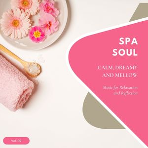 Spa Soul - Calm, Dreamy And Mellow Music For Relaxation And Reflextion, Vol. 09