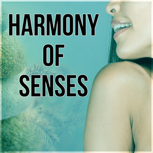 Harmony of Senses - Music to Help You Sleep & Relax, Sleeping Through the Night, Sweet Dreams, Inner Peace, Soothing Sounds & Soft Piano Music for Lounge