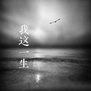 我这一生 (DJ小刚版)