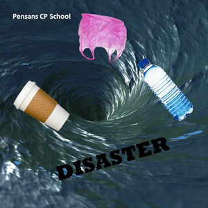 Disaster