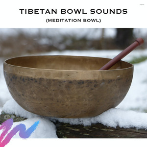 Sound Healing Bowl