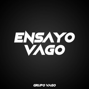 Ensayo Vago