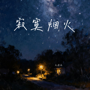 寂寞烟火-文清禾