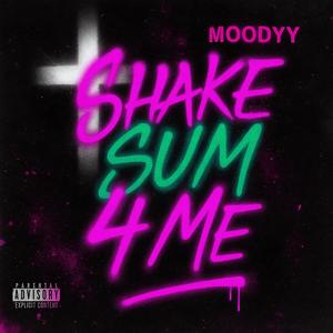 SHAKE SUM 4 ME (Explicit)