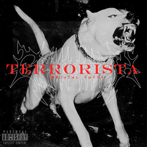 Terrorista (Explicit)