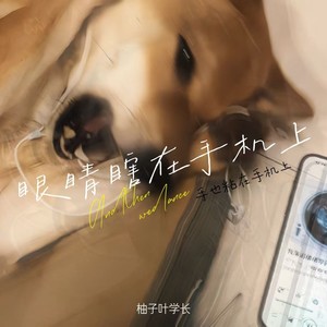 眼睛瞎在手机上 (手也粘在手机上)