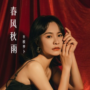 春风秋雨 (dj女声版)