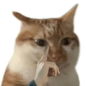 舌尖上的哈基米（哈基北绿豆）