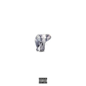 SAN SAV (Explicit)
