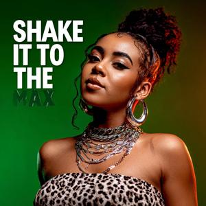 Shake It To The Max (Techno Edit)