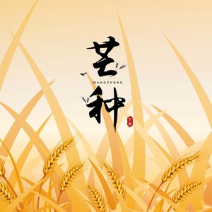 芒种（二十四节气歌）