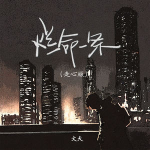烂命一条 (走心版)