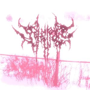 lotus seeds (Explicit)