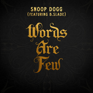 Words Are Few (feat. B Slade) (Explicit)