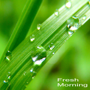 Fresh Morning