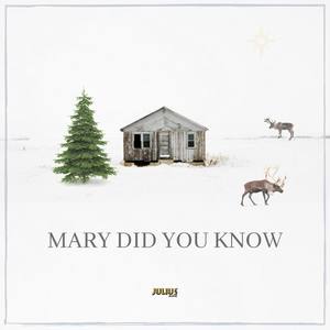 Mary Did You Know