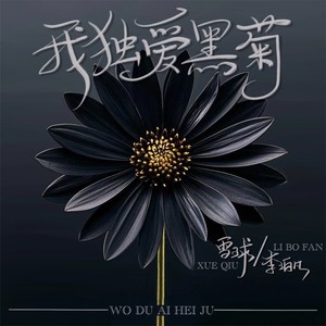 雪球 - 我独爱黑菊