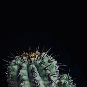 Henjo (feat. OONOO & botanik)