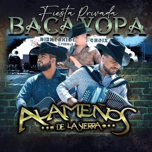 Fiesta en Bacayopa