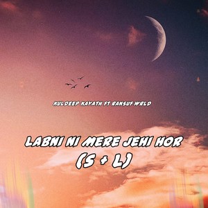 Labni Ni Mere Jehi Hor (Slowed & Reverbed)