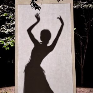 惊鸿一面 (天冷冷版)