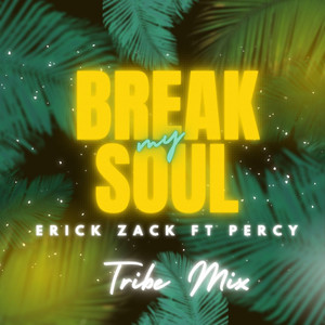 BREAK MY SOUL (TRIBE MIX)