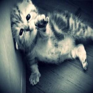 alprazenjoyer (feat. sc4rzz)