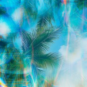 THE TREES ARE TALKING