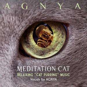 Meditation Cat (Relaxing "Cat Purring" Music)