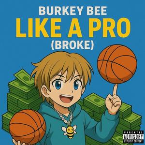 Like A Pro (Broke) (feat. Zayne) (Explicit)