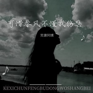 可惜春风不懂我伤悲-荒唐阿姨