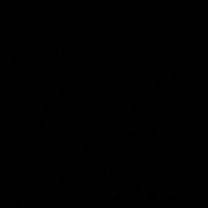 BABYSWAG333 (Explicit)