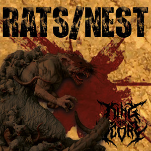 Rats/Nest (Explicit)