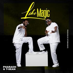 Like Magic (feat. T-Sean)