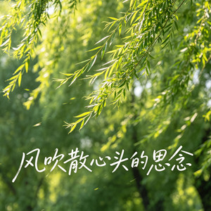 风吹散心头的思念