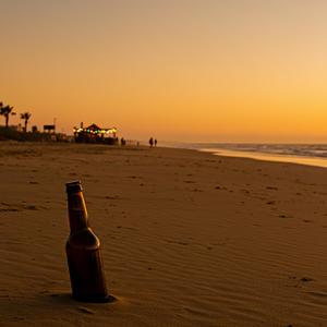 Beach Cantina Boogie (Más Fina) (feat. Tucker Slade)