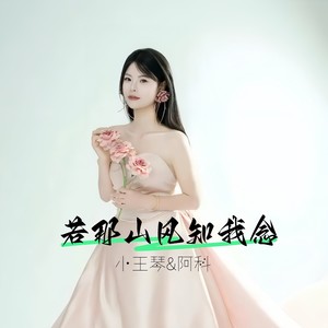 若那山风知我念 (伴奏)