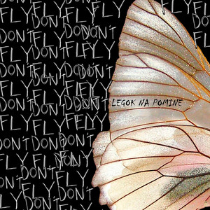 Don't Fly (Explicit)