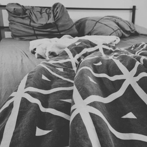 Trafic d'organes (Explicit)