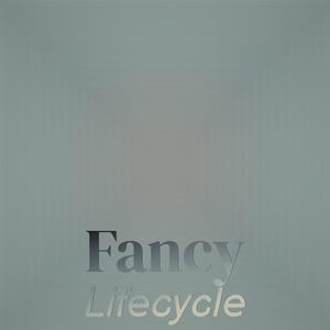 Fancy Lifecycle