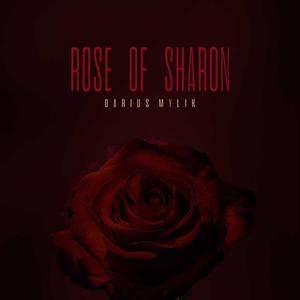 Rose of Sharon