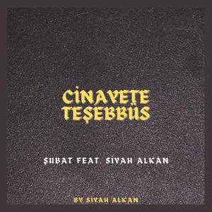 Cinayete Teşebbüs (feat. Siyah Alkan)