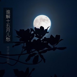 谁解十五月儿愁
