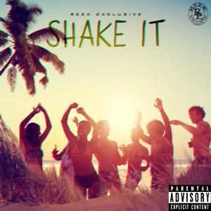 Shake It (Explicit)