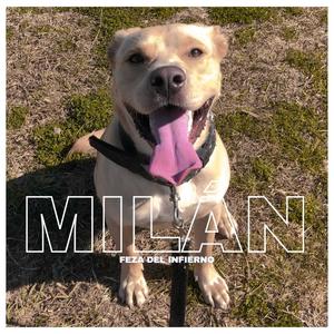 Milán
