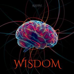 WISDOM
