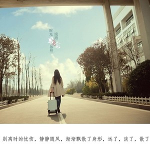 王霖夕 - 独家记忆