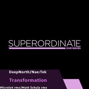 Transformation (Microlot Rmx)
